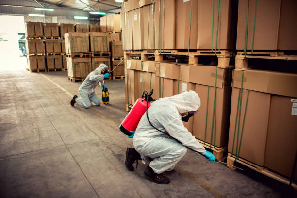 Best Flea Control Services  in Linganore, MD