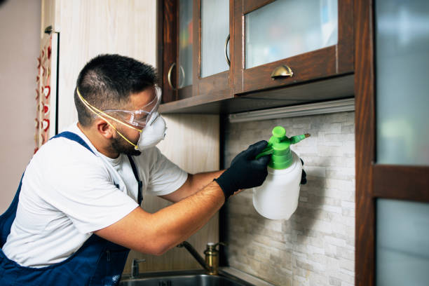 Best Local Pest Control Services  in Linganore, MD