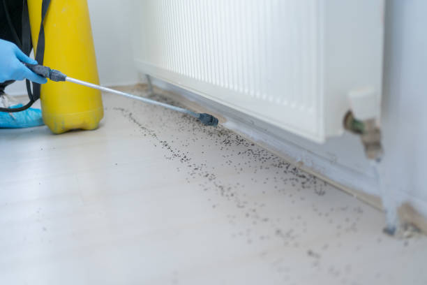 Best Wasp Removal Services  in Linganore, MD
