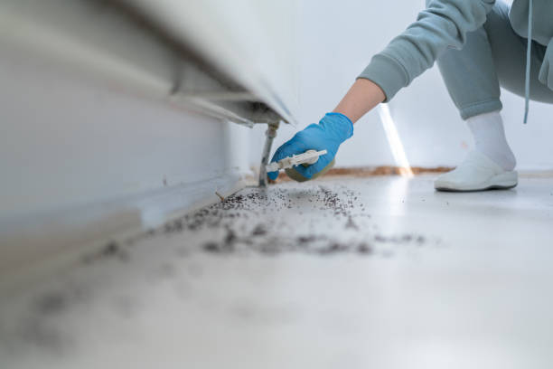 Best Affordable Pest Control Services  in Linganore, MD