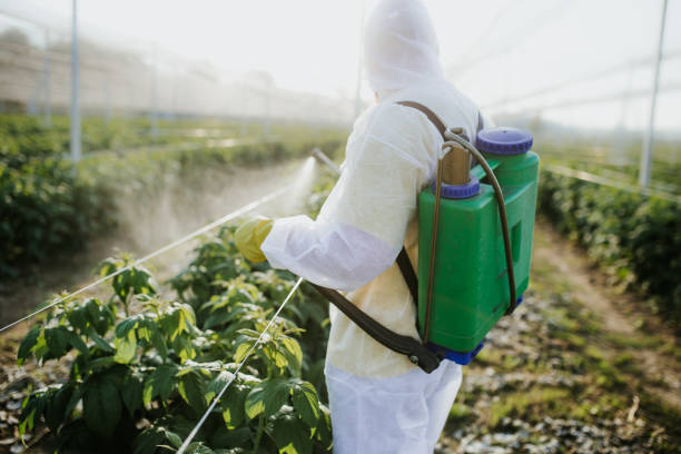 Best Affordable Exterminators  in Linganore, MD